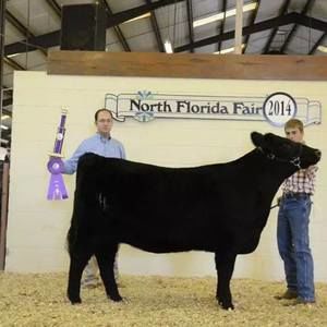 Meet your Posher, Charlie